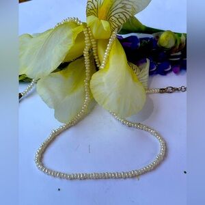 Sterling Silver Rice Pearl Necklace